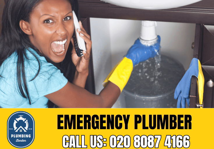 emergency plumber Brentfords